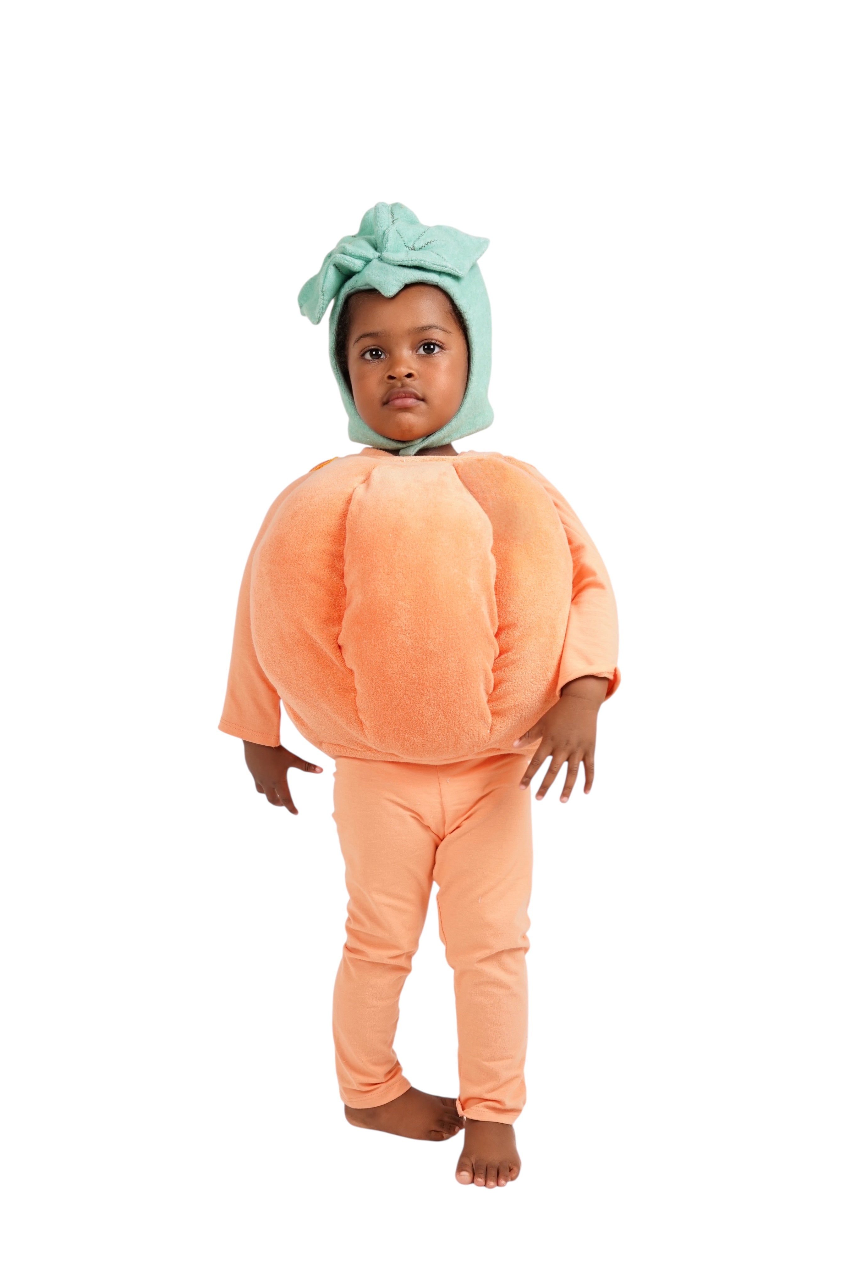 Pumpkin Patch Costume