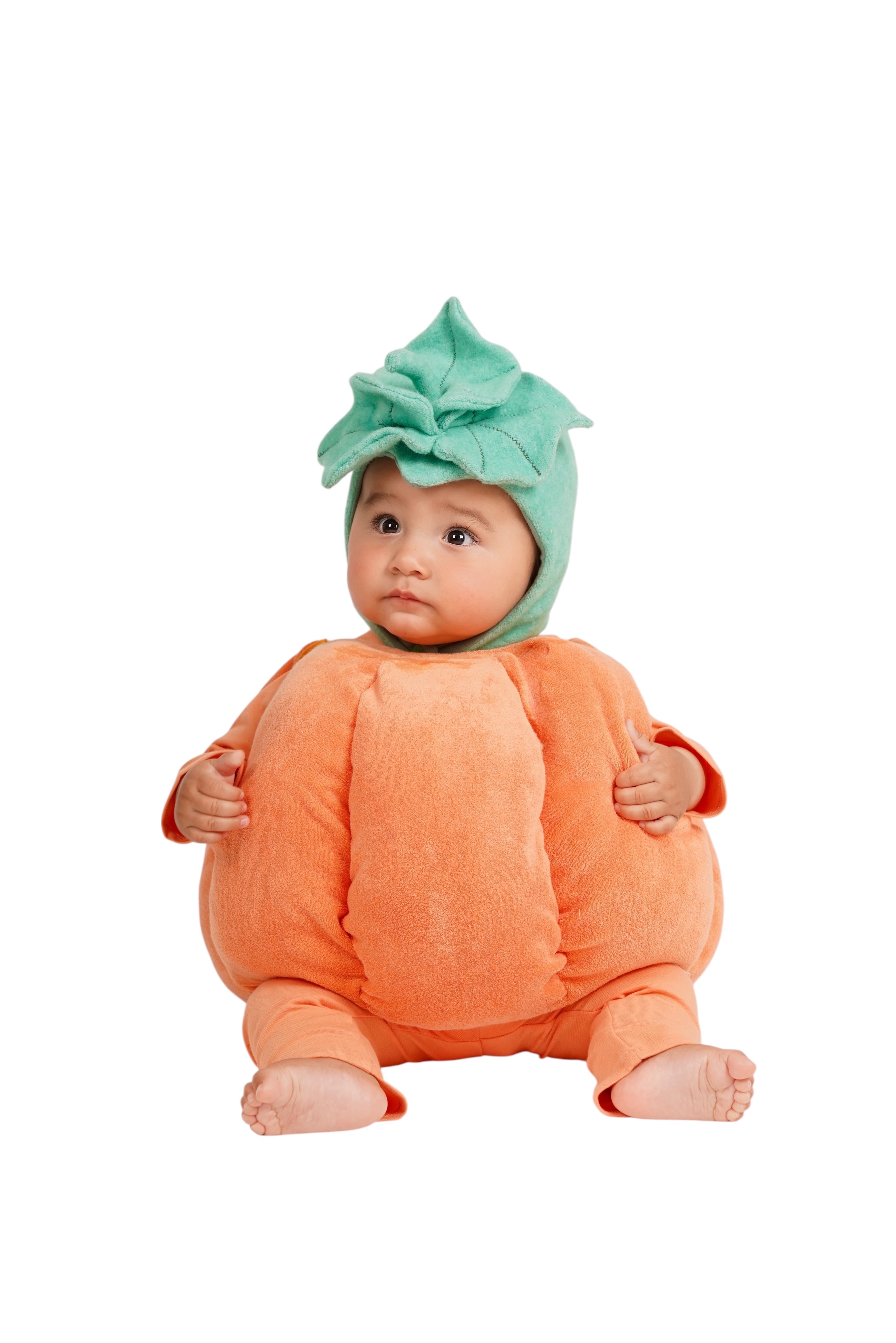 Pumpkin Patch Costume
