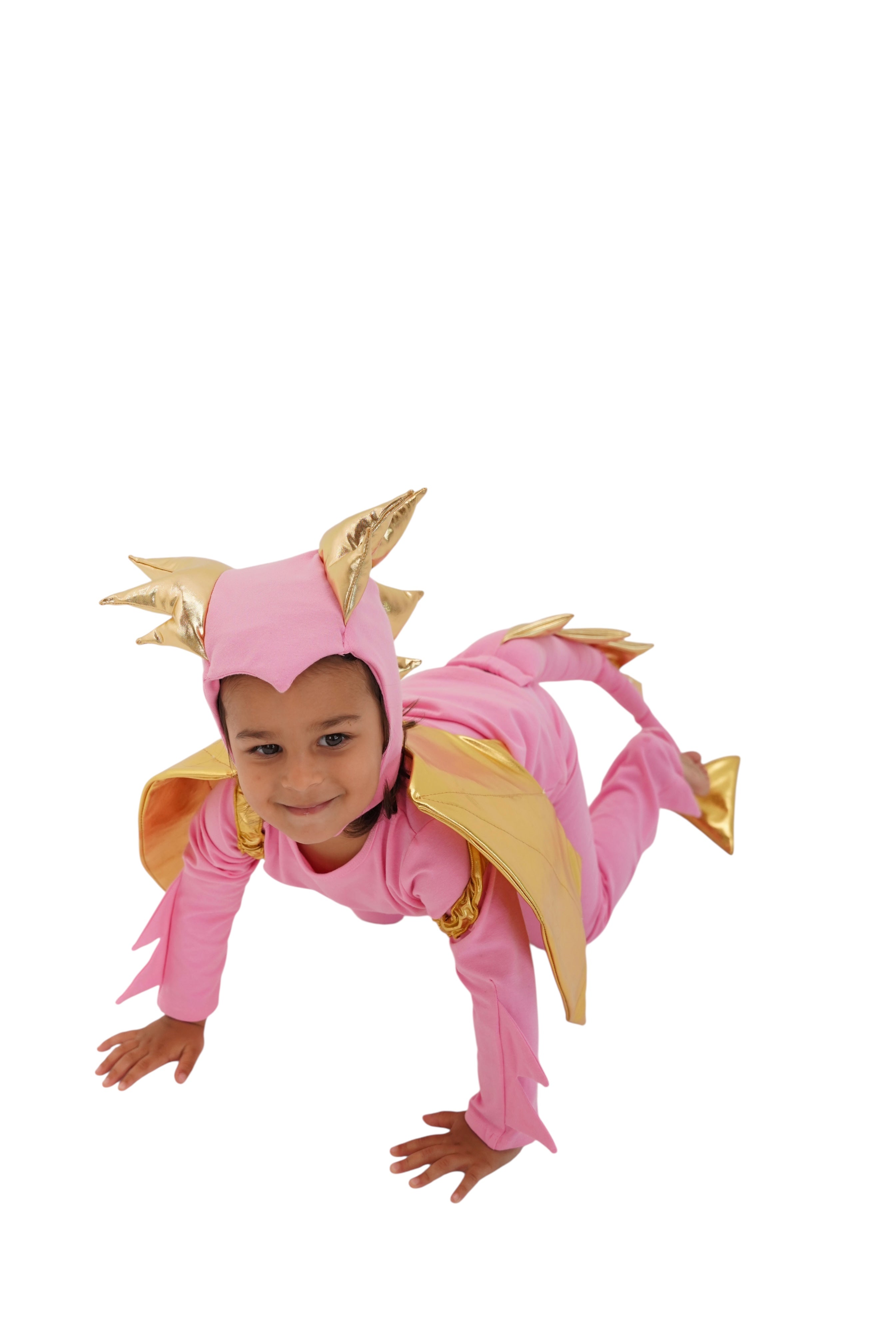 Pink Sky Dragon