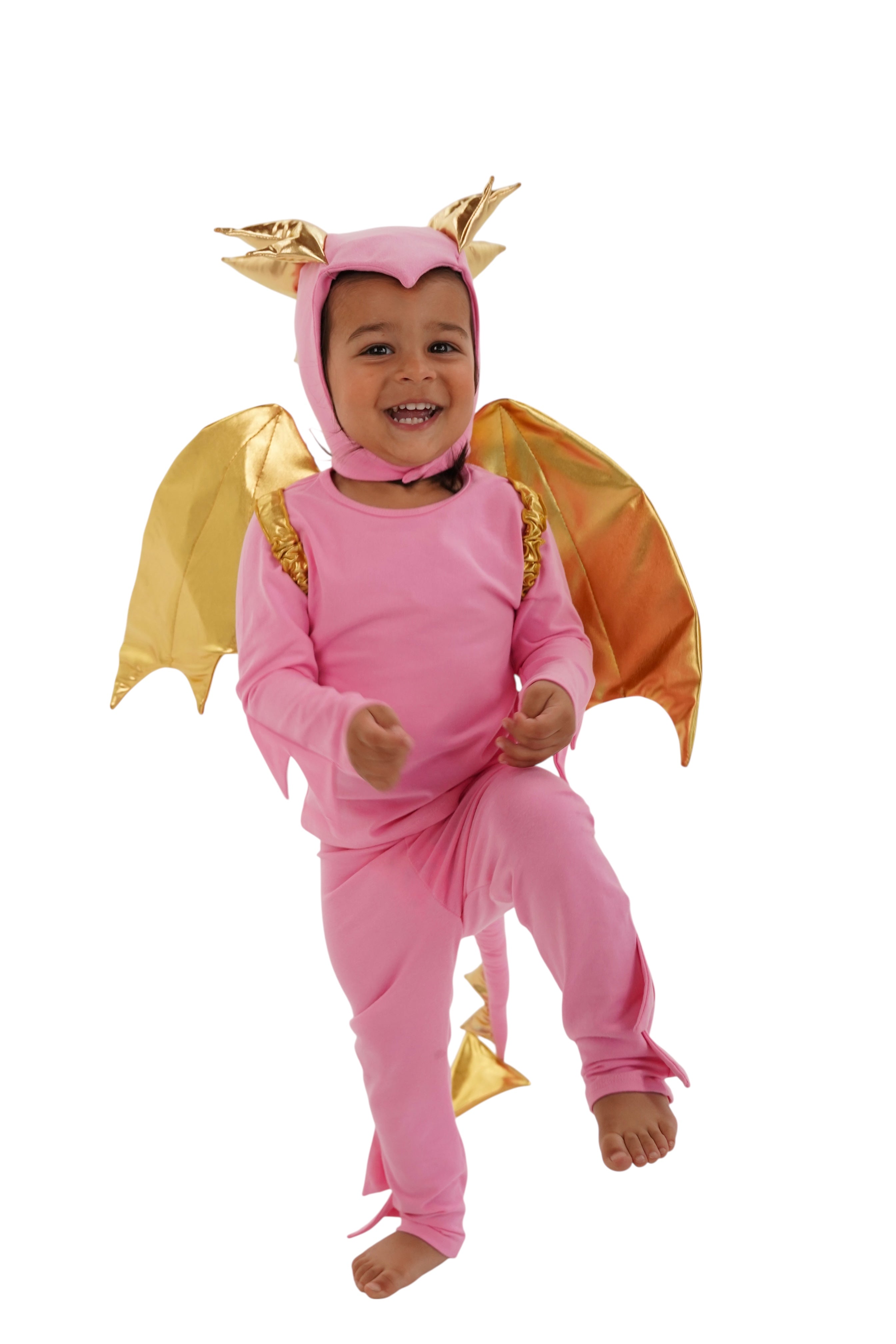 Pink Sky Dragon