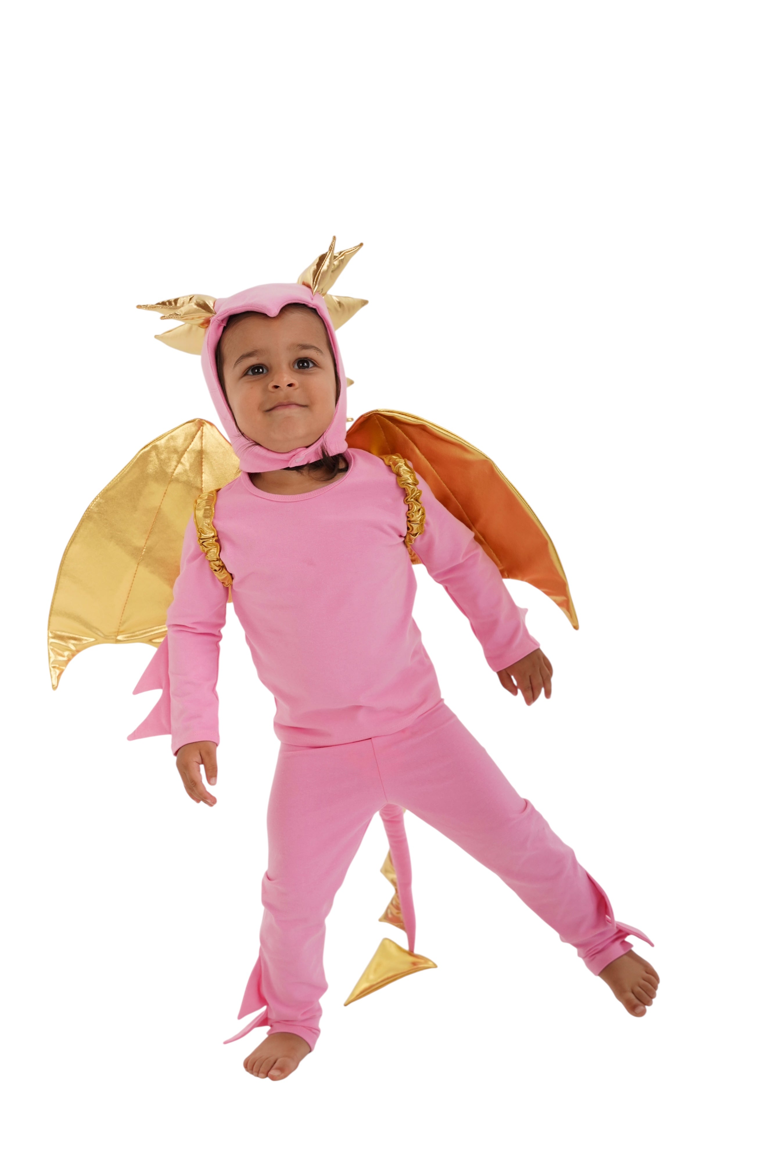 Pink Sky Dragon
