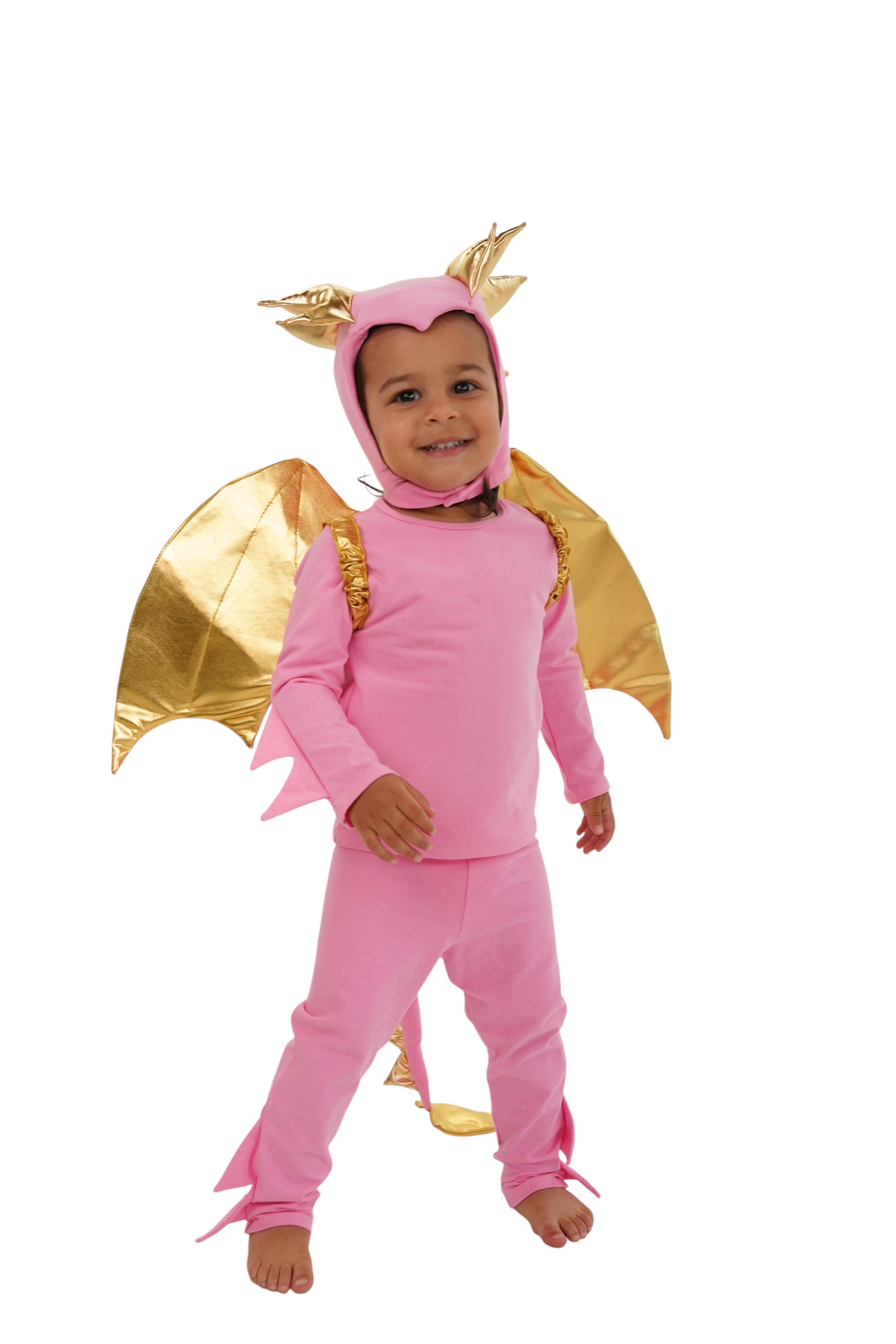 Pink Sky Dragon