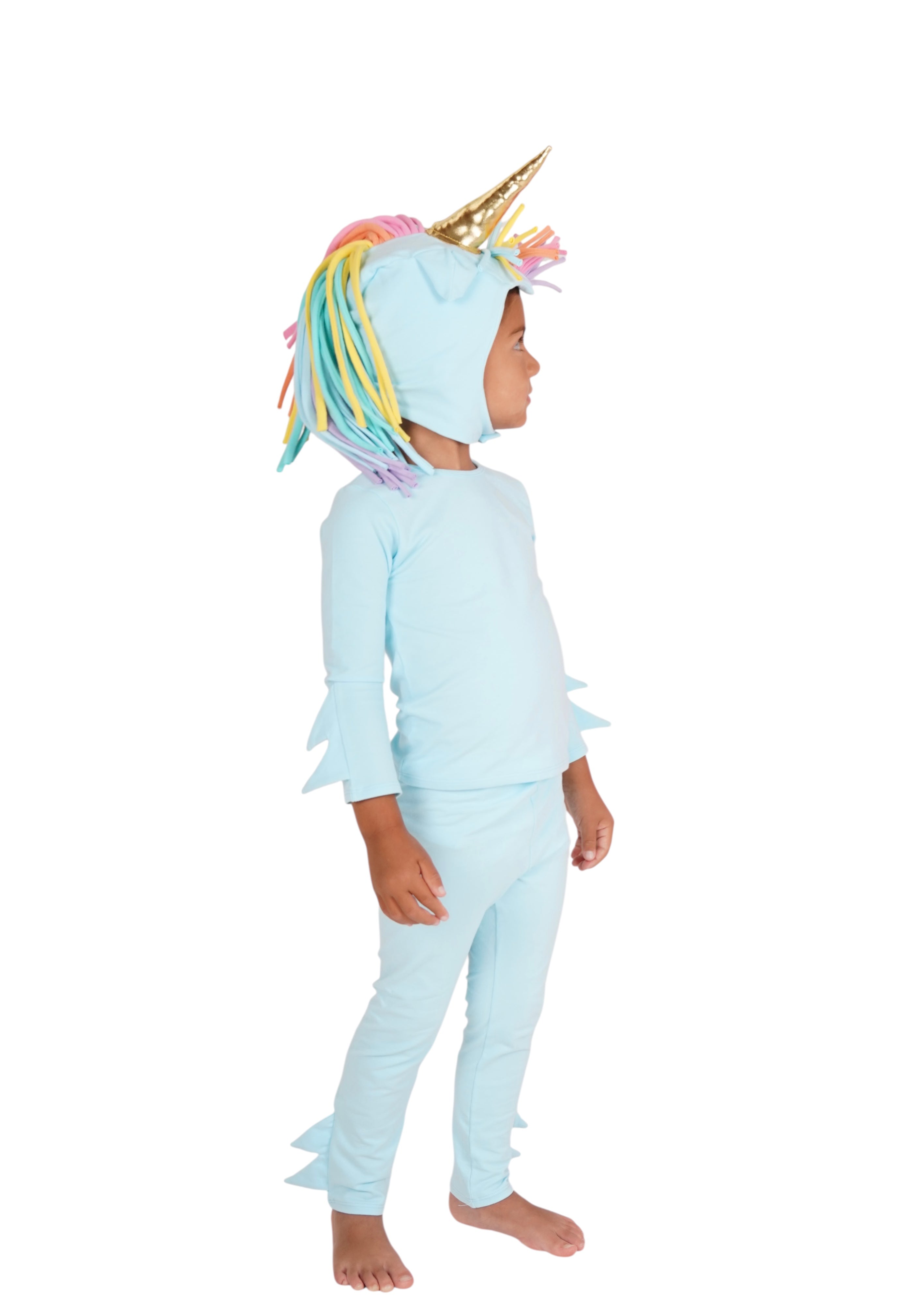 Rainbow Sky Unicorn