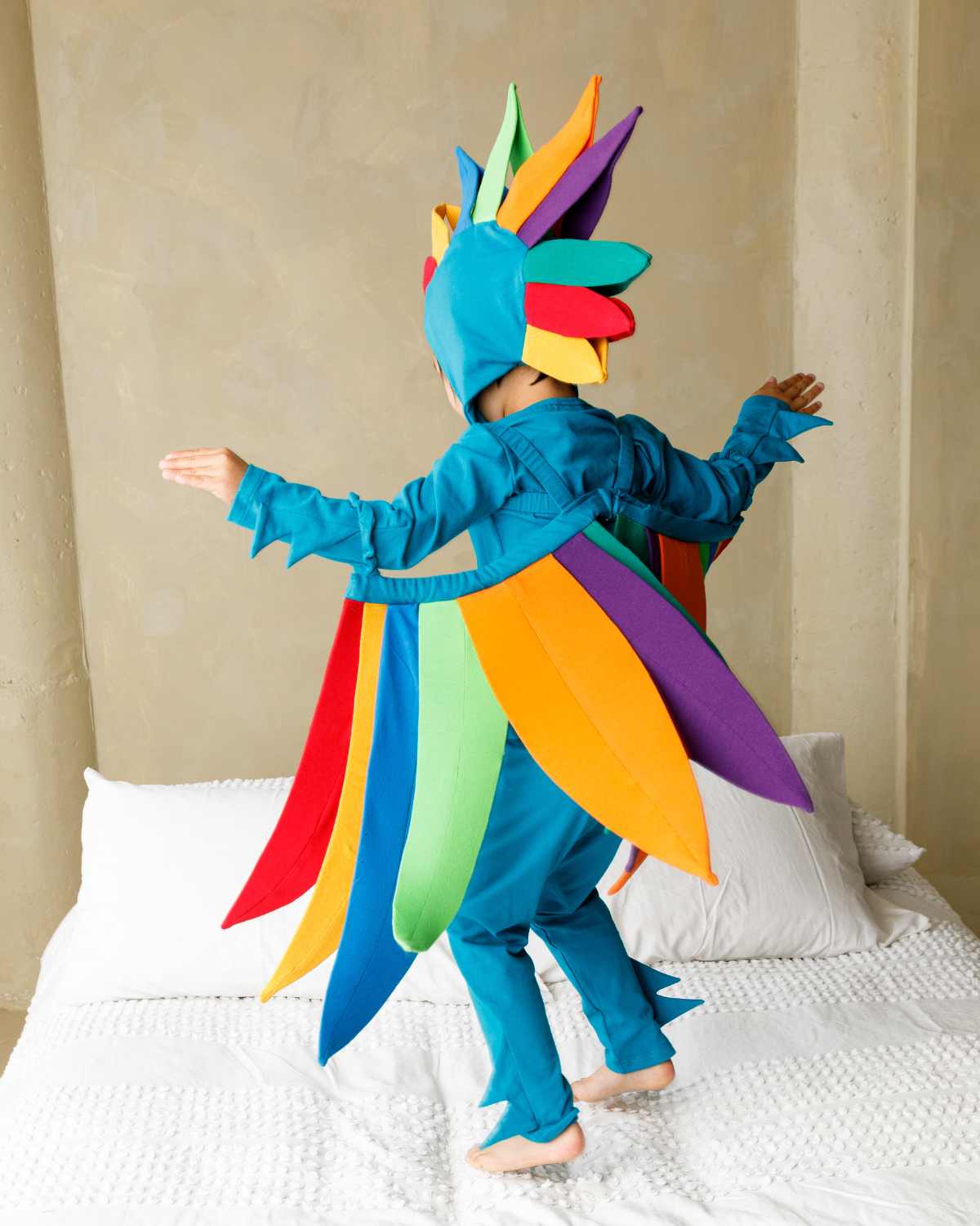 Rainbow Bird Costume
