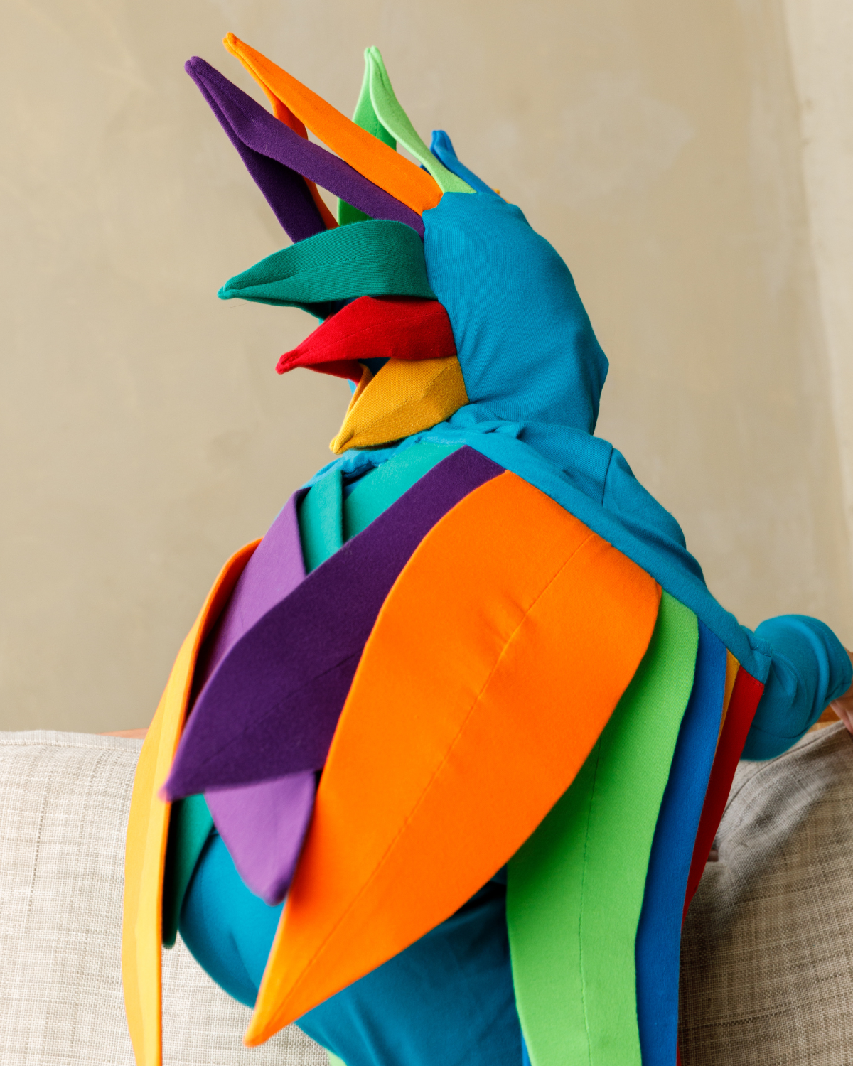 Rainbow Bird Costume