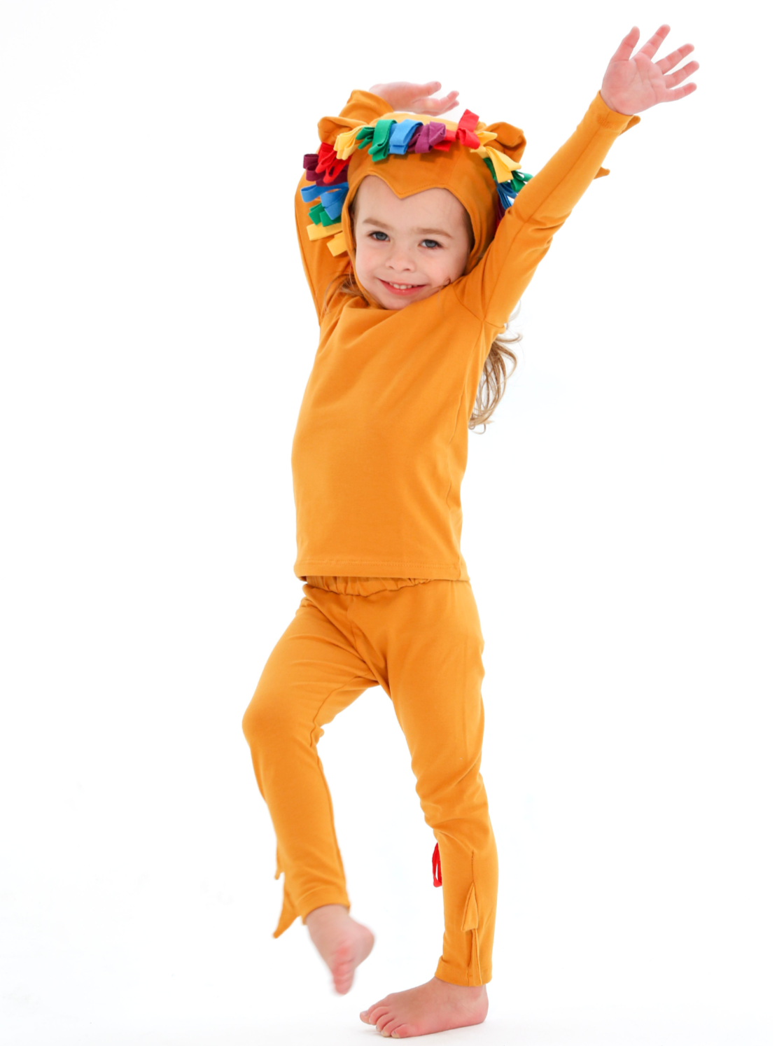 Rainbow Lion Costume