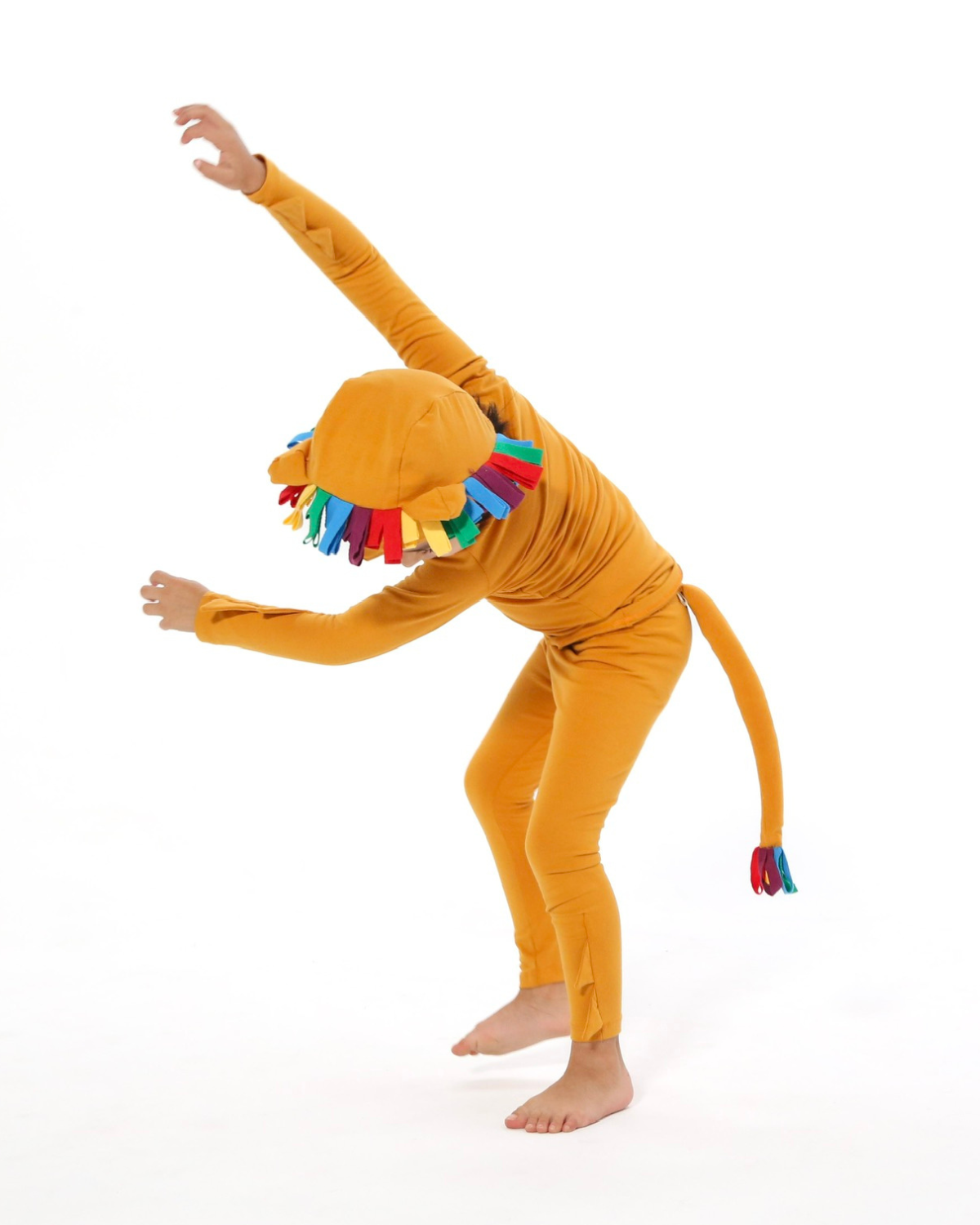 Rainbow Lion Costume