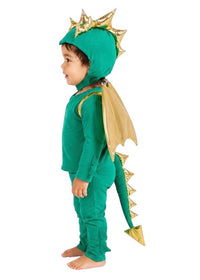 Baby Green Dragon Costume