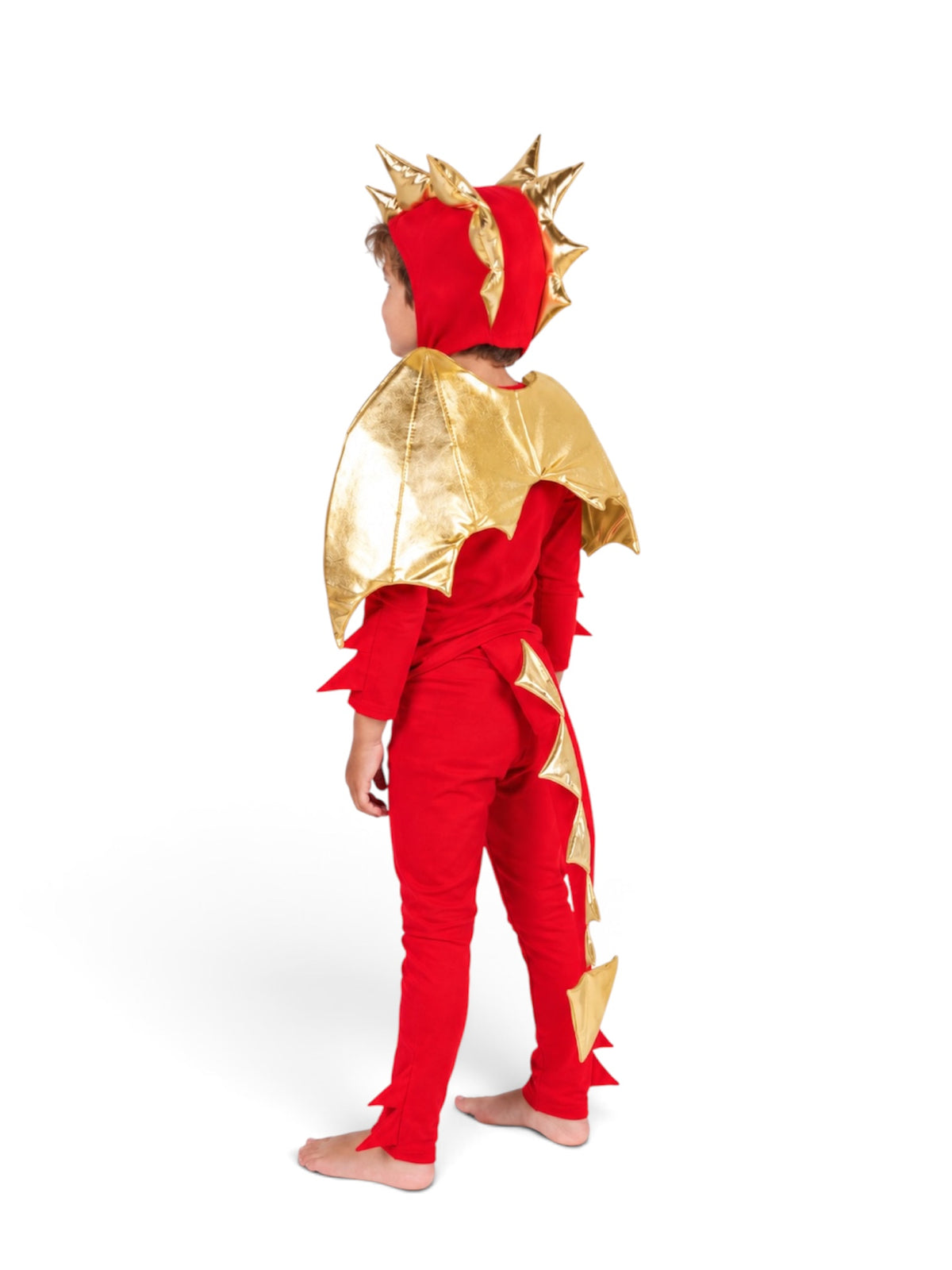 Red Dragon Costume