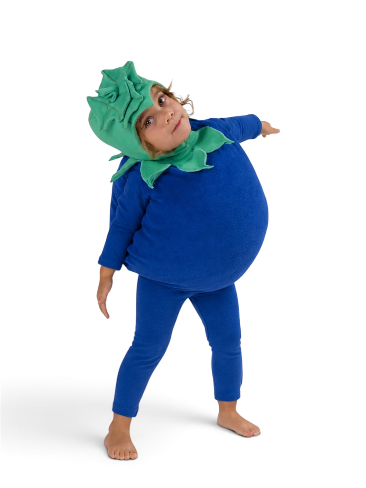 Baby Blueberry Costume