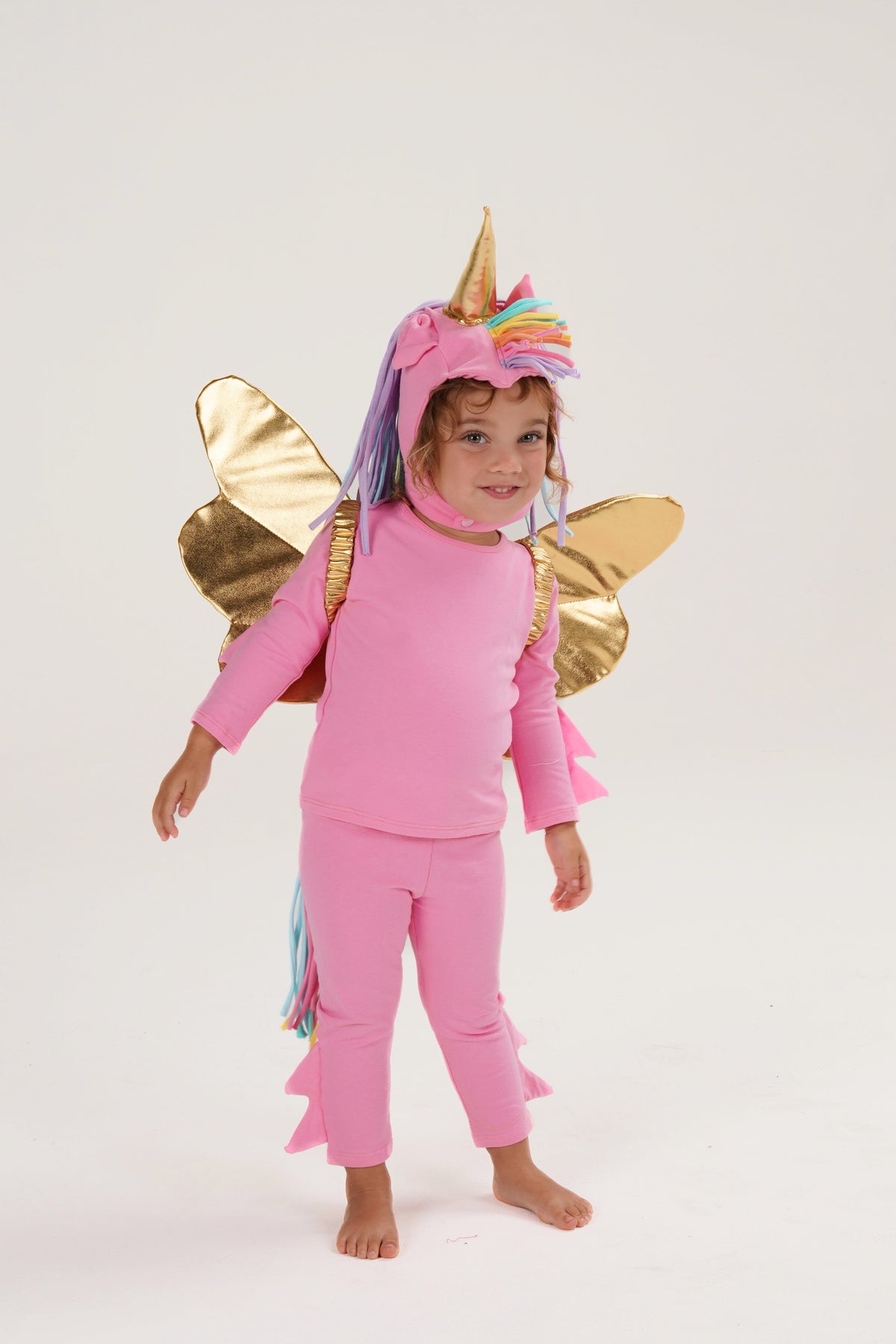 Pink Pegasus Halloween Costume
