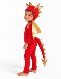 Red Dragon Costume