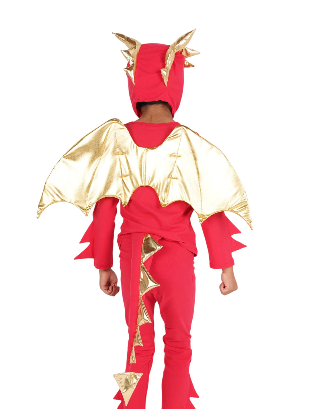 Red and Gold Dragon Tail