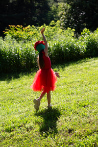Rose Costume with Tutu