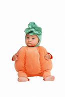 Pumpkin Patch Costume