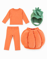 Pumpkin Patch Costume