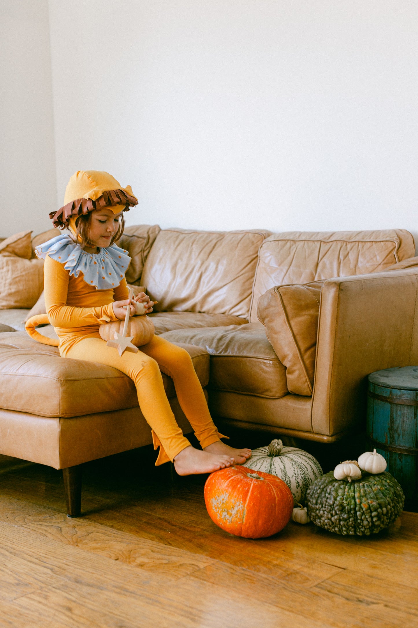 Circus Lion Pajama Costume