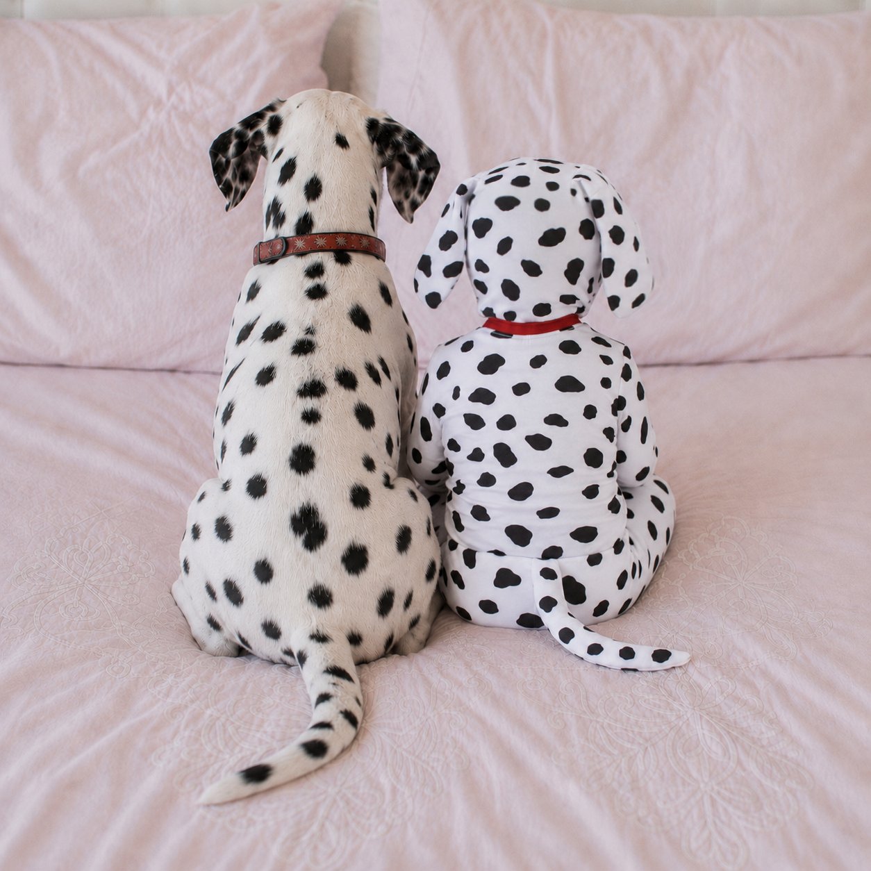 Dalmatian Costume