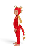 Red Dragon Costume