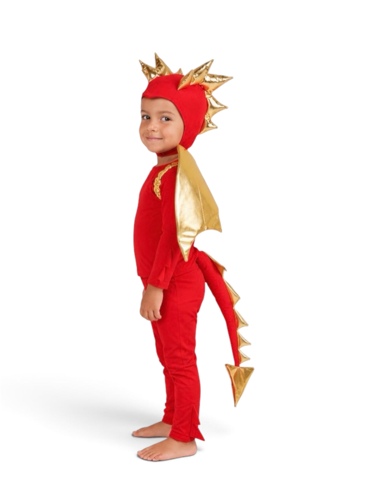 Red Dragon Costume