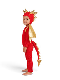 Red Dragon Costume