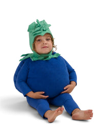 Baby Blueberry Costume