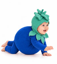 Baby Blueberry Costume