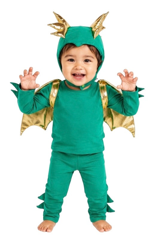 Baby Green Dragon Costume