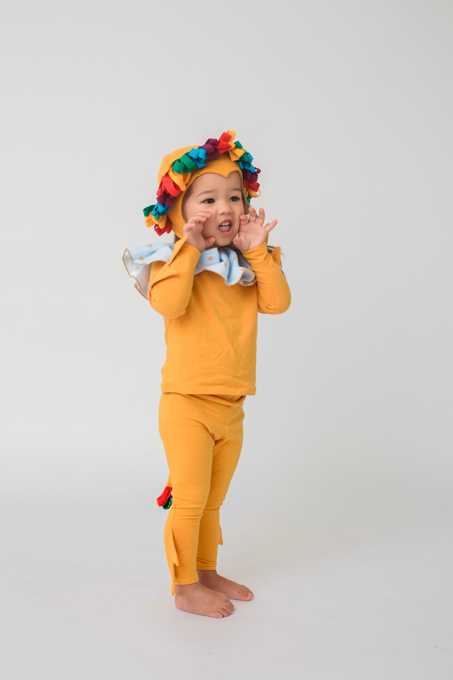Rainbow Circus Lion Pajama Costume