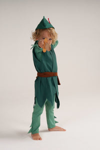 Peter Pan Halloween Costume