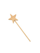 Paintable Star Wand