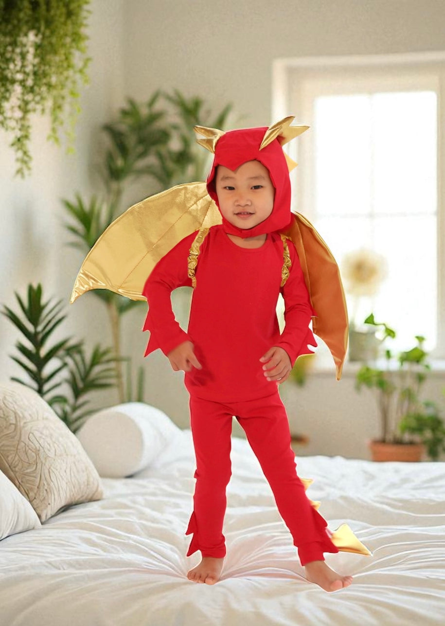 Red Dragon Costume