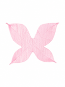 Pink fairy wings
