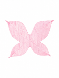 Pink fairy wings