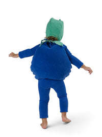 Baby Blueberry Costume