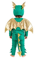 Baby Green Dragon Costume