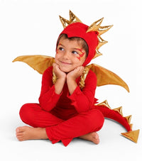 Red Dragon Costume