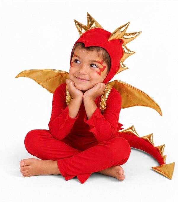 Red Dragon Costume