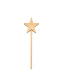 Paintable Star Wand