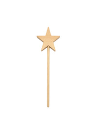 Paintable Star Wand