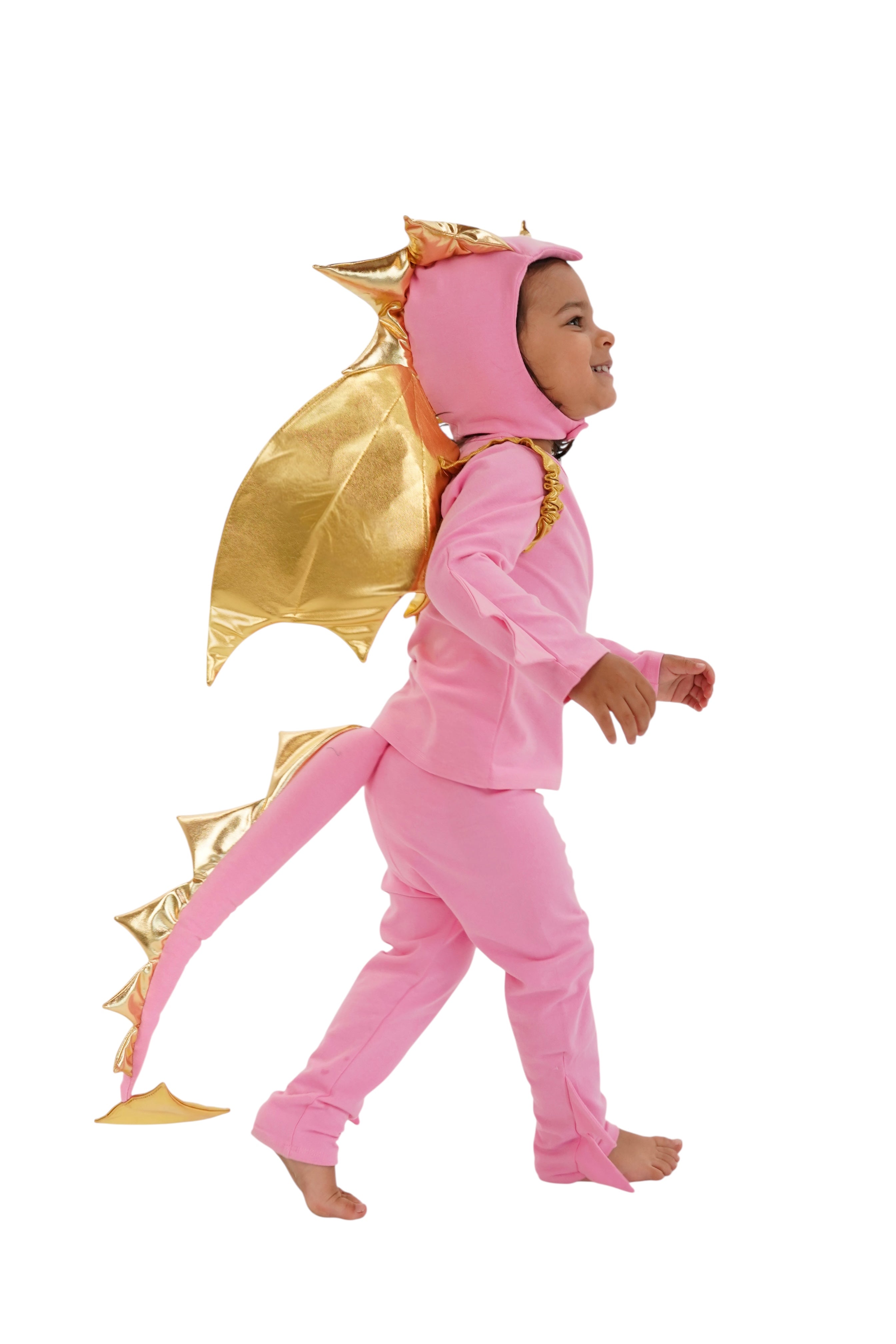Pink Sky Dragon