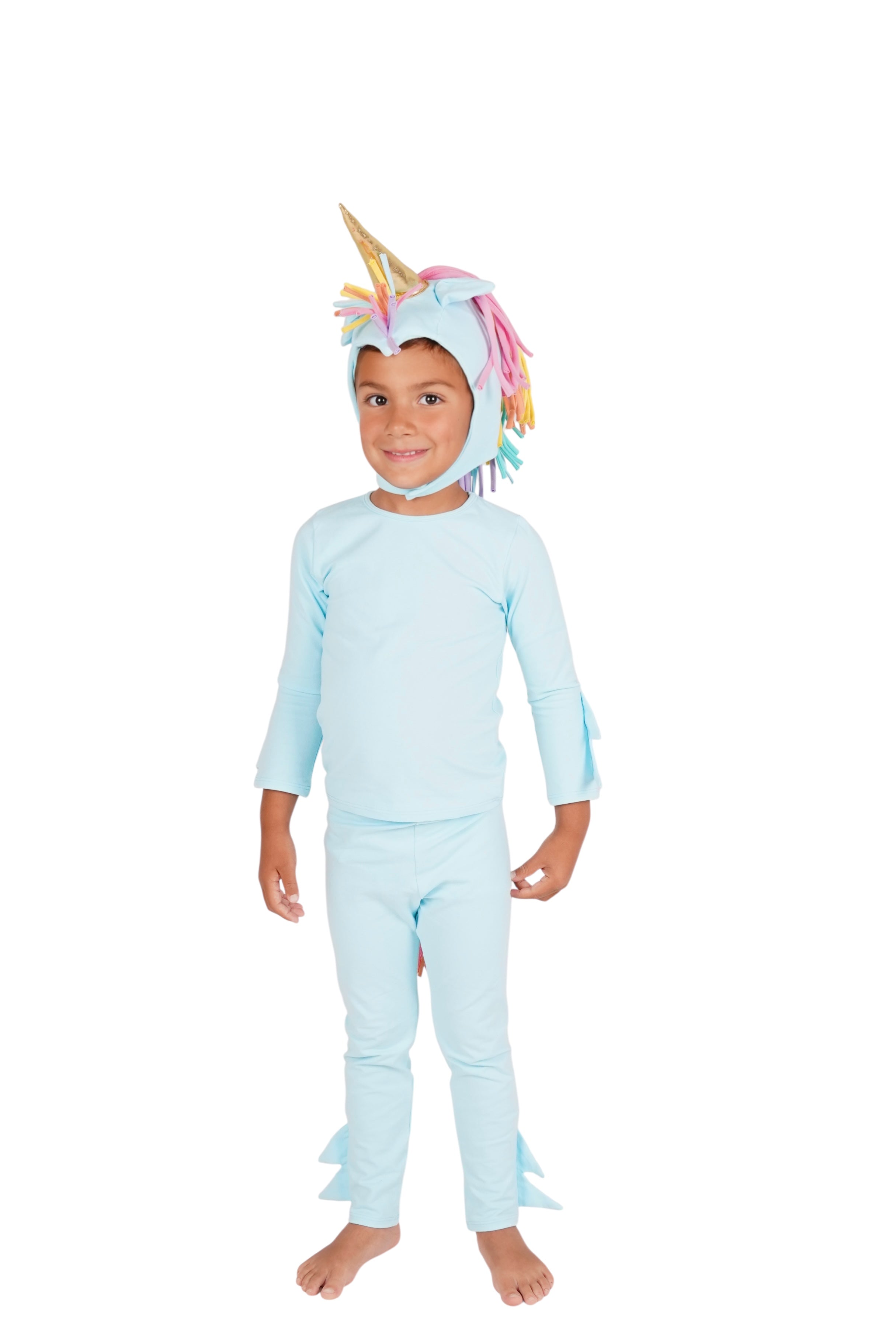 Rainbow Sky Unicorn