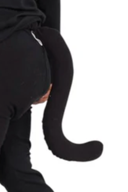 Cat Tail