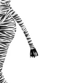 Zebra Tail