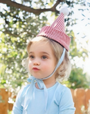 Gingham Party Hat