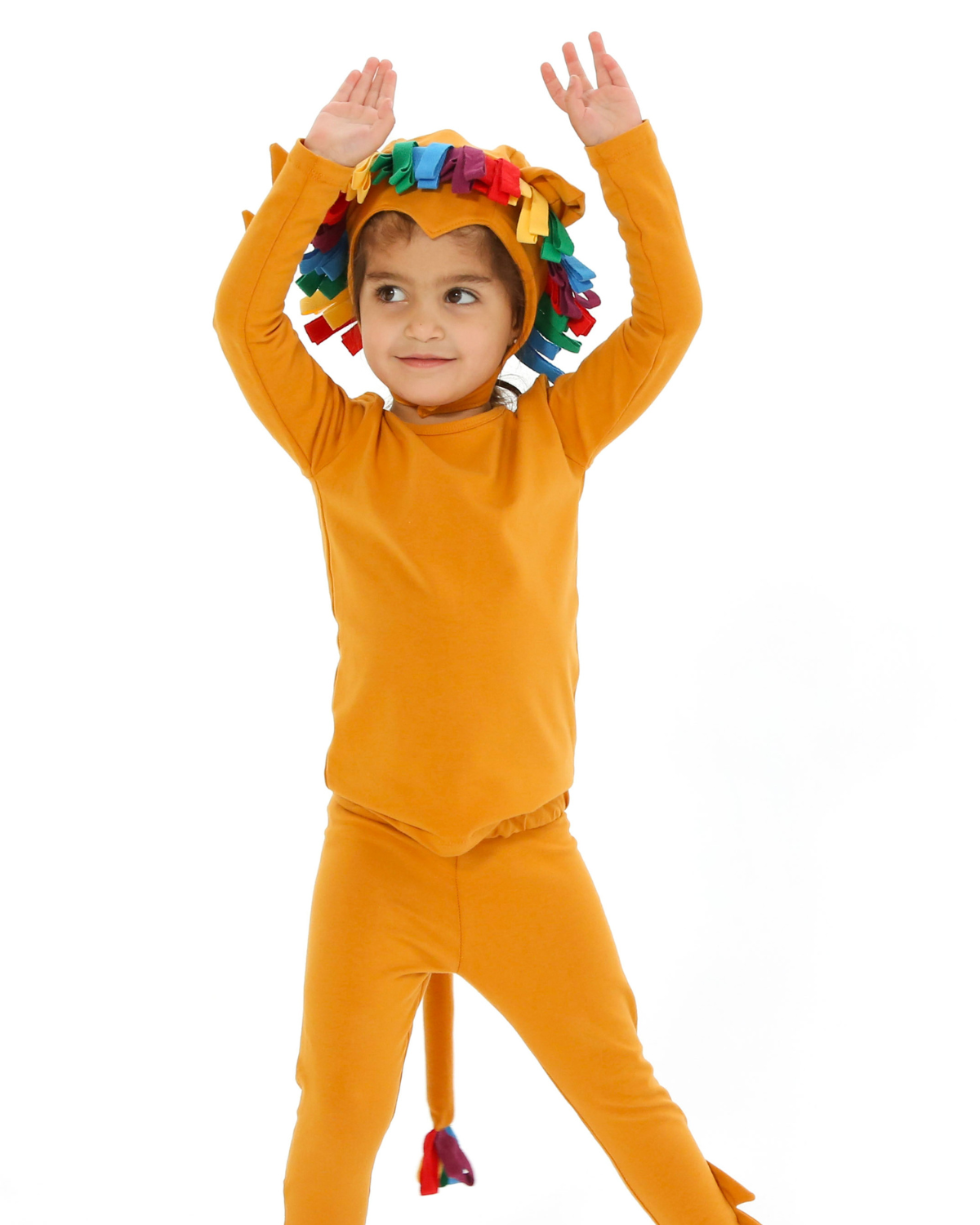 Rainbow Lion Costume