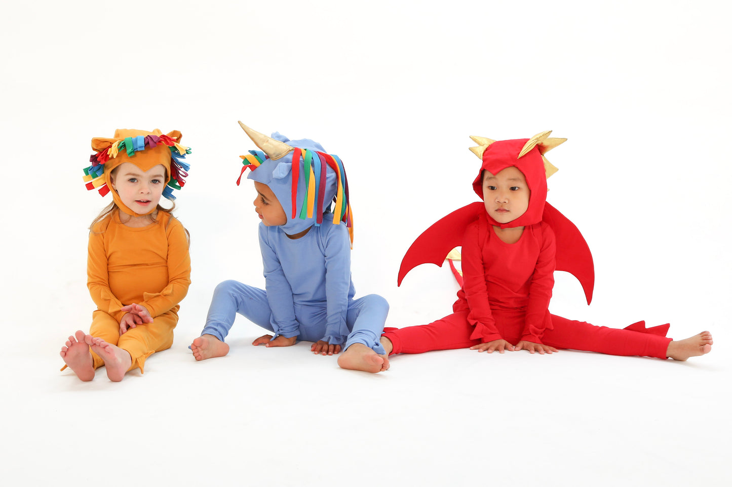 Rainbow Lion Costume