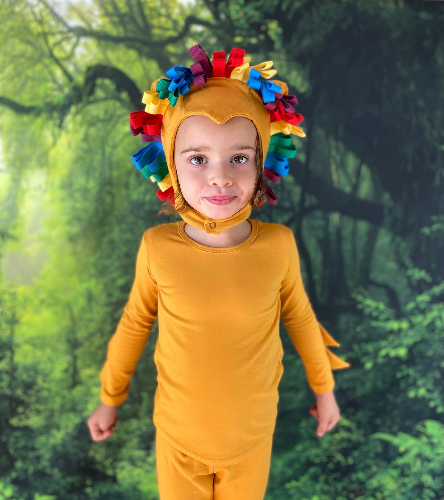 Lion costume for kids, halloween costume for kids, toddler lion costume, rainbow lion